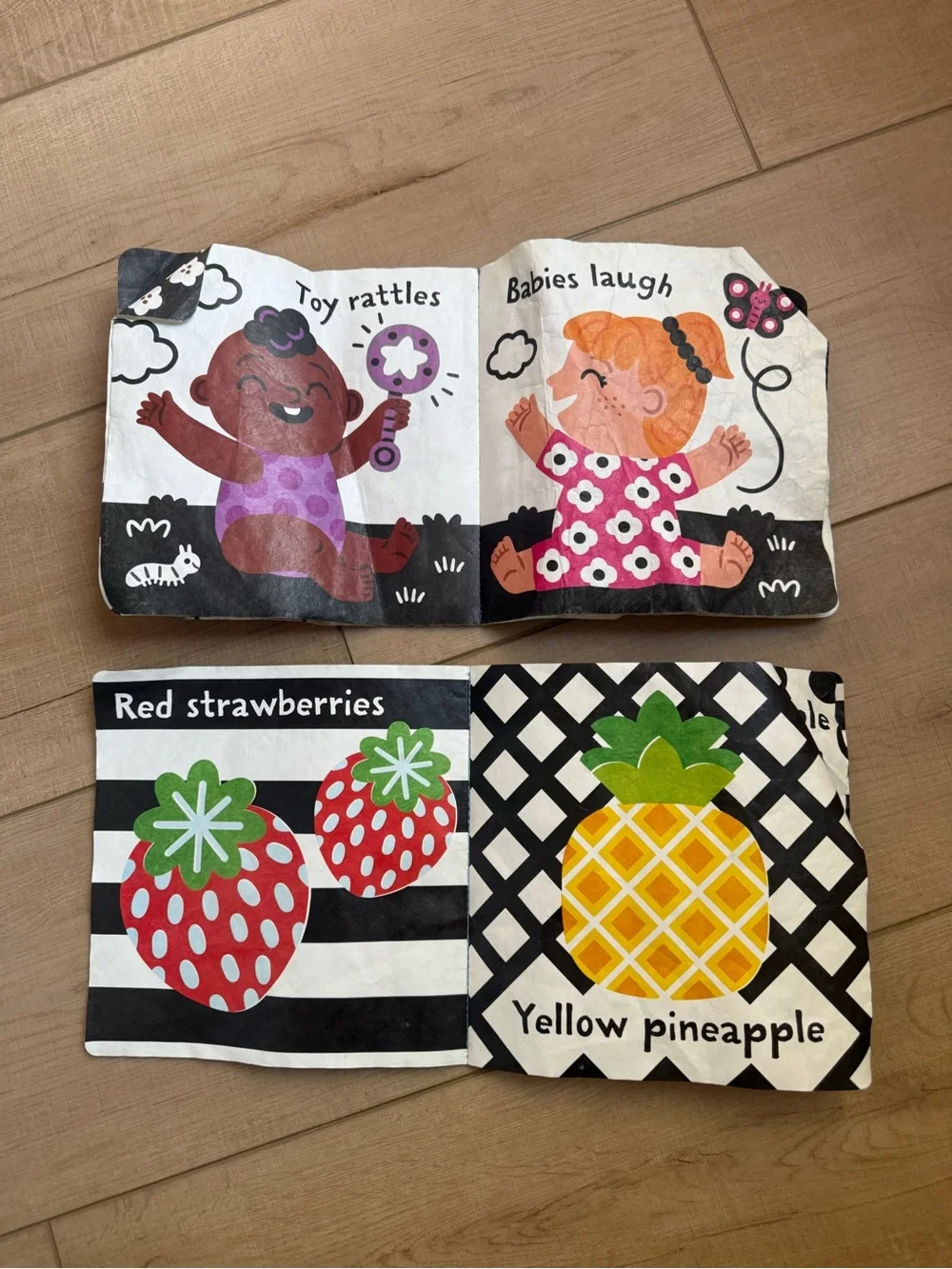 The Original Indestructibles Hear The Sounds & Taste the Fruit books Set